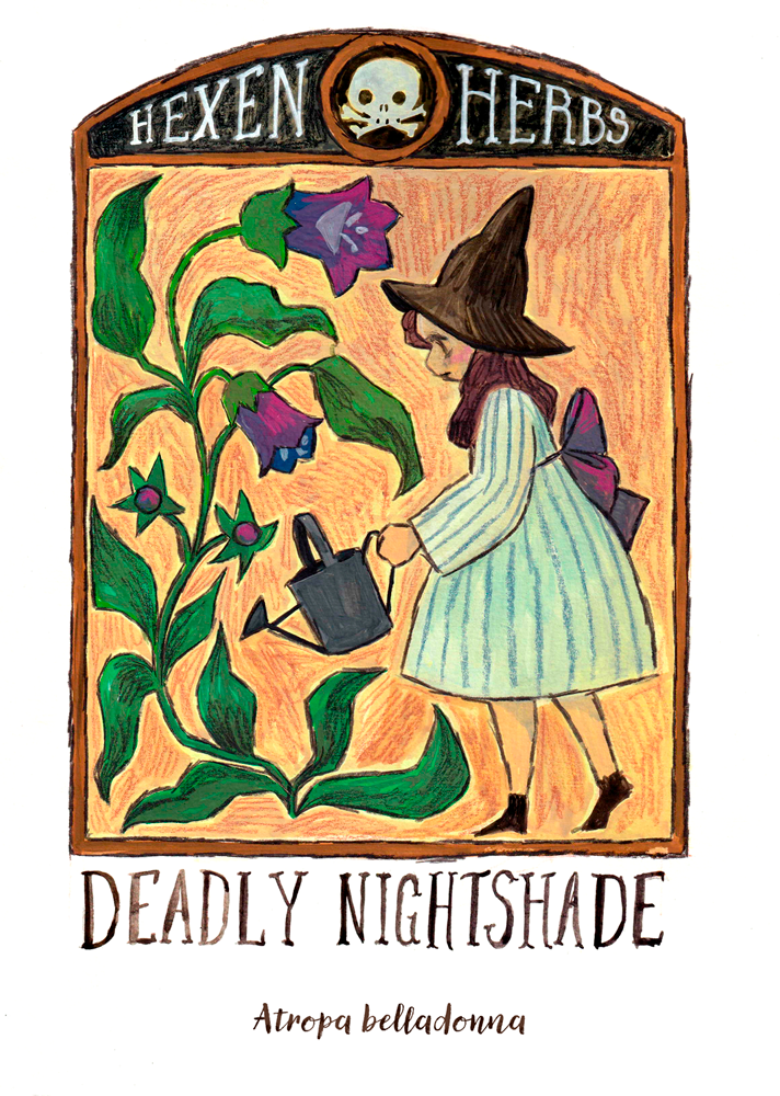 The Adventures of the Little Vampire — children's illustration by Meg Fear