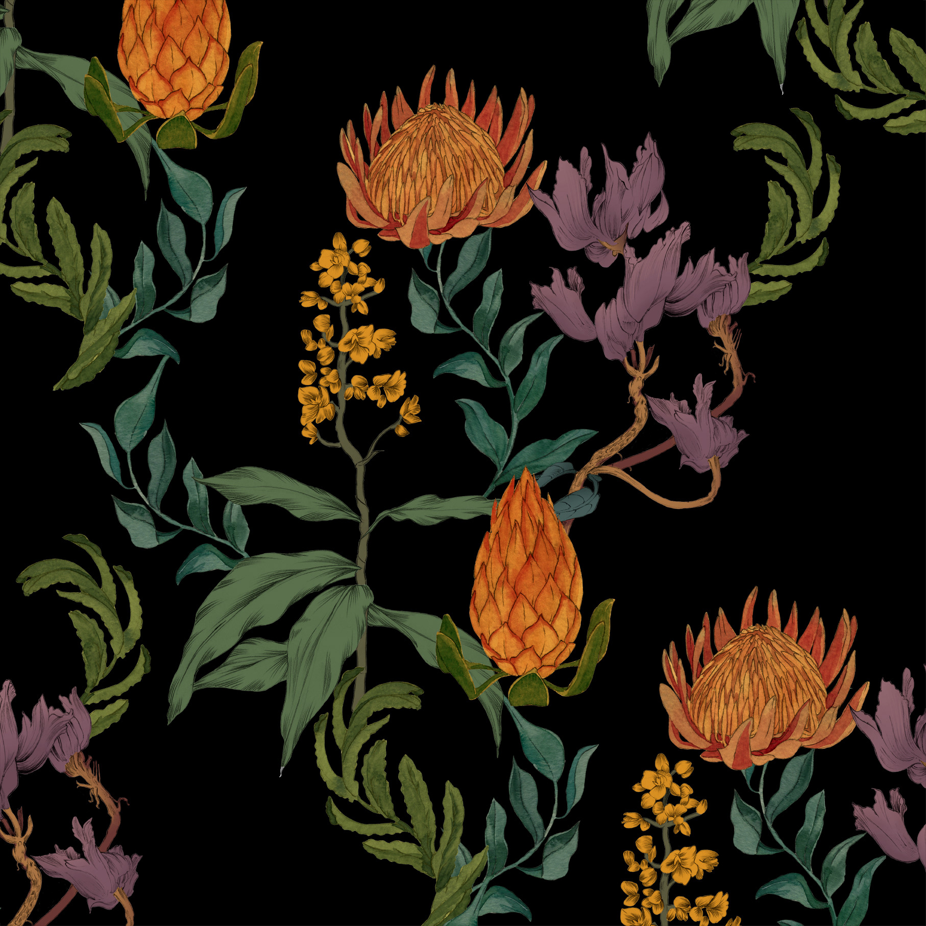 Process — studies