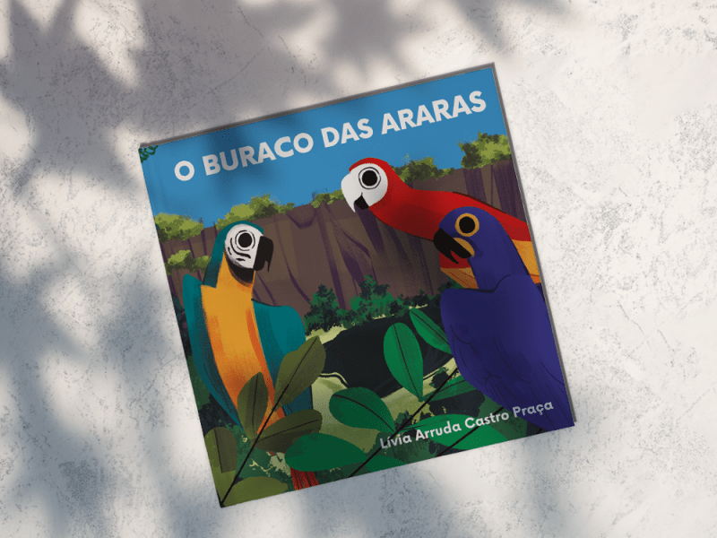 Brazilian children’s book